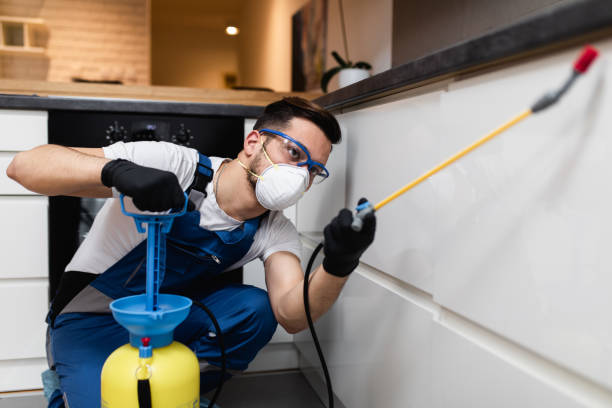 Pest Control for Restaurants in Brown City, MI
