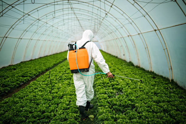 Best Best Pest Control Companies  in Brown City, MI